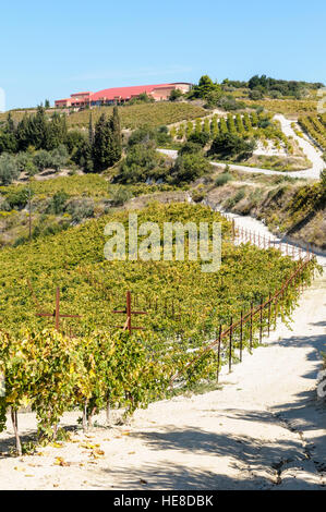 Domaine Helios Winery, Nemea, péninsule du Péloponnèse, Grèce Banque D'Images