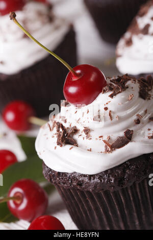 Petits gâteaux au chocolat gourmet avec cerise Forêt noire verticale de macro. Banque D'Images