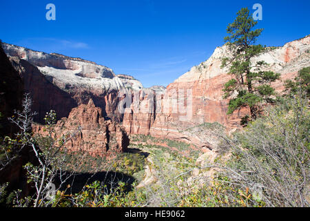 Hidden Canyon, Zion National Park, Utah, USA Banque D'Images