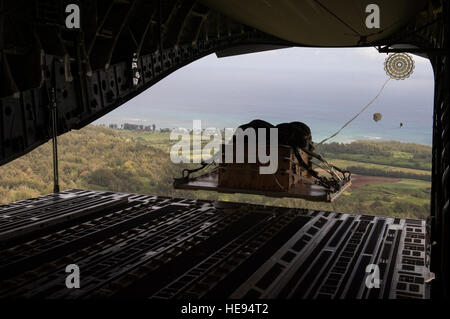 U.S. Air Force 535e Escadron de transport aérien C-17 Gloabmaster III parachutages une palette sur une zone de dépôt sur 1 Hawaïen Le août 535e offre des capacités de transport aérien et airdrop pour le théâtre du Pacifique. Le largage de matériel fait partie de la formation de routine de l'équipage et le personnel de la logistique. Le s.. Stephany Richards/ libéré) Banque D'Images