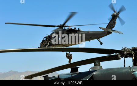 Tactique de l'armée américaine des chiens détecteurs d'explosifs et de leurs maîtres se relaient pour palan dans un HH-60G Pave Hawk par 83e Escadron de sauvetage expéditionnaire pararescueman au cours de la formation conjointe de l'air à Bagram, en Afghanistan, le 21 juin. Le TED les chiens sont formés pour trouver des dispositifs explosifs de circonstance à l'extérieur de la base. Les chances d'entre eux ayant besoin secouru sont ici très important de rendre cette formation pour les deux branches. Le s.. Stephenie Wade) Banque D'Images