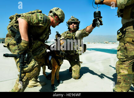 Un membre de la 1re classe Jason Fischman, 83e Escadron de sauvetage expéditionnaire, pararescueman obtient un faisceau à une tactique de l'armée américaine avant de chien de détection d'explosifs dans un levage HH-60G Pave Hawk au cours d'un scénario de formation à l'air de Bagram, en Afghanistan, le 21 juin. Ce faisceau a été spécifiquement créé pour cette formation par pararescueman affecté à la 83e pararescueman QRE ici. Fischman est déployé à partir de la Royal Air Force Lakenheath, Angleterre. Le s.. Stephenie Wade) Banque D'Images