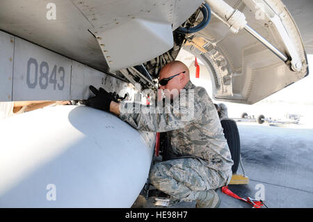 Navigant de première classe tsd Miley, un F-16 chef d'équipe, avec le 144e groupe de maintenance, California Air National Guard, s'apprête à installer une ligne centrale réservoir de carburant de la F-16 Fighting Falcon avant sa mission de l'après-midi le 5 février 2012. ( Tech. Le Sgt. Charles Vaughn) Banque D'Images