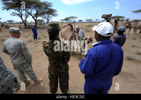 Le capitaine de l'armée américaine Daniel Crowell, gauche, vétérinaire agent de terrain avec le 448e Bataillon des affaires civiles, de l'équipe de spécialité fonctionnelle de l'armée kenyane Le Capitaine Marion Amulyoto, vétérinaire avec le Kenyan du bataillon médical, militaire et le Dr Josphat Muema, un vétérinaire à Isiola, Kenya, regarder le sergent-chef. Daniel Wolters, opérations/logistique d'un sous-officier de la 257th Engineer team, aider un chameau s'agenouiller au cours d'un programme d'action civique, vétérinaire, ou VETCAP, dans la région de Ngaremara, Kenya, 7 août 2012. Crowell et Wolters sont affectés à la Force opérationnelle interarmées - Corne de l'Afrique, qui rési Banque D'Images