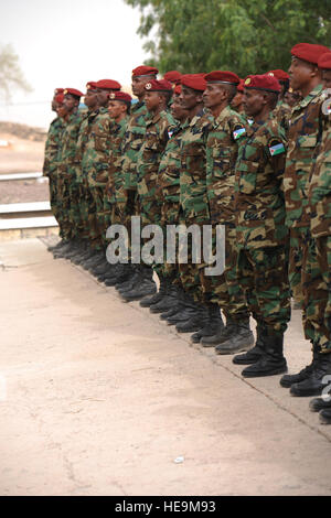 Les soldats de l'armée djiboutienne se tenir en formation au cours de leur cérémonie de remise de diplômes après une classe de vision nocturne à Arta (Djibouti), le 25 mars 2012. Le 3e Bataillon de l'armée américaine, 124e Regiment Cavalry Brigade, déployée à l'appui de la Force opérationnelle interarmées - Corne de l'Afrique (CJTF-HOA), contribue à former les soldats de l'armée djiboutienne pour un prochain déploiement en Somalie. Tech. Le Sgt. Dan Saint-pierre/non publié)