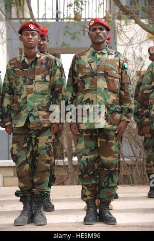 Les soldats de l'armée djiboutienne se tenir en formation au cours de leur cérémonie de remise de diplômes après une classe de vision nocturne à Arta (Djibouti), le 25 mars 2012. Le 3e Bataillon de l'armée américaine, 124e Regiment Cavalry Brigade, déployée à l'appui de la Force opérationnelle interarmées - Corne de l'Afrique (CJTF-HOA), contribue à former les soldats de l'armée djiboutienne pour un prochain déploiement en Somalie. Tech. Le Sgt. Dan Saint-pierre/non publié)
