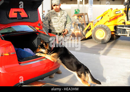 Un chien de travail militaire et un maître-chien du 380e escadron des forces de sécurité expéditionnaires inspectent les véhicules dans la zone de recherche de véhicules pour assurer la sécurité et empêcher l'entrée de contrebande sur la base de Randolph Air Force base, au Texas. Banque D'Images