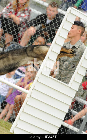 Le s.. Christopher Averill, 5e Escadron des Forces de sécurité de chien de travail militaire, demande à ses 5 ans, Berger Allemand Kety, de sauter à travers une fenêtre au cours de l'obstacle du Dakota 2013 Agent de la paix Association K-9 Essais de Police à Minot Air Force Base, N.D., 14 août 2013. Le parcours a été conçu pour tester la force, l'endurance et de connaissances médicales de base de militaires et de civils à partir du K-9 à travers l'état. Il a également servi comme un moyen pour eux de se réunir et de mettre en valeur leurs compétences en tant qu'équipe en amical, mais l'environnement concurrentiel. Banque D'Images