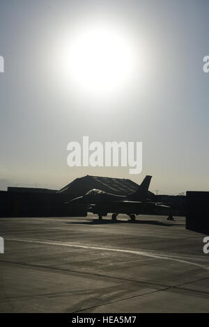 Un F-16 Fighting Falcon de la 100e escadron de chasse expéditionnaire, déployé à partir de la 187e escadre de chasse, est stationné à Bagram Airfield, Afghanistan, le 7 août 2014, menant des opérations continues à l'appui de l'opération Enduring Freedom. Banque D'Images