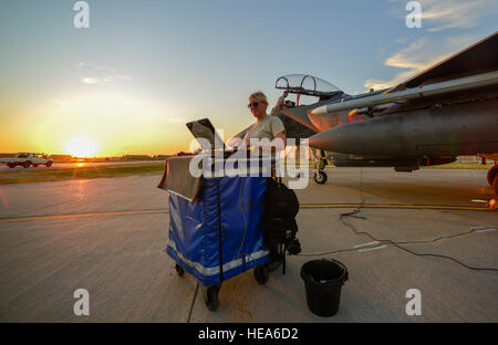 U.S. Air Force F-15E Strike Eagles arrivent à la base aérienne d'Incirlik, Novembre 12, 2015. Les six F-15E à partir de la 48e Escadre de chasse déployés en appui à l'opération et contre-résoudre inhérent ISIL missions en Irak et en Syrie. Cory Navigant de première classe W. Banque D'Images