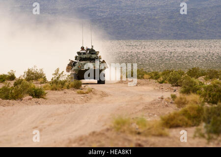 Les Marines américains un véhicule blindé léger de la Compagnie Alpha, 2e Bataillon de reconnaissance blindé léger de parcourir le terrain désertique tout en participant à l'exercice de formation intégrée 3-15, au Marine Corps Air Ground Combat Center Twentynine Palms, Californie, le 20 mai 2015. MCAGCC mène de tir réel pertinents interarmes, les opérations urbaines, et des articulations ou de la coalition qui favorise la formation d'intégration au niveau de l'état de préparation des forces opérationnelles. Airman Senior Juan A. Duenas Banque D'Images