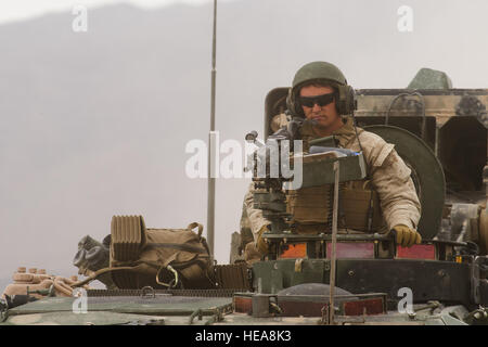 Un U.S. Marine affecté à Alpha Co. 2e Bataillon de reconnaissance blindé léger, balade en véhicule blindé léger tout en participant à l'exercice de formation intégrée 3-15, au Marine Corps Air Ground Combat Center Twentynine Palms, Californie, 20 mai, 2015. MCAGCC mène de tir réel pertinents interarmes, les opérations urbaines, et des articulations ou de la coalition qui favorise la formation d'intégration au niveau de l'état de préparation des forces opérationnelles. Airman Senior Juan A. Duenas Banque D'Images