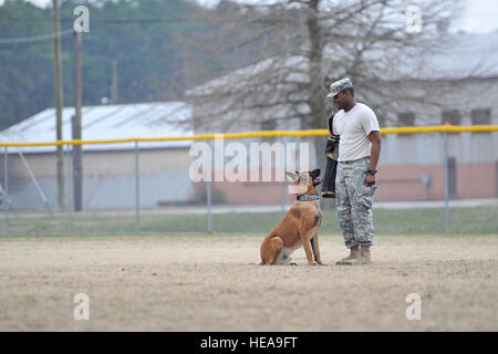 Le sergent de l'armée américaine. Clevaun Fluellen, 3e Détachement de Police Militaire de chien de travail militaire, agit comme un agresseur durant l'agression avec formation Uunion MWD, une patrouille de chiens détecteurs d'explosifs, lors d'une manifestation pour les Cadets de l'Air du 180e escadron Mosquito à Fort Eustis en Virginie, le 12 mars 2014. En plus de l'agression, la démonstration plus de 50 cadets regardé obéissance formation, formation en recherche d'emploi, et l'utilisation voiture de patrouille de l'équipement. Le s.. Gar Katie Ward Banque D'Images