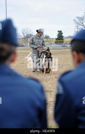 La CPS de l'armée américaine. Roxanne Cavezuela, 3e Détachement de Police Militaire de chien de travail militaire, s'apprête à procéder à la formation d'obéissance avec son chien, MWD Chek, une patrouille de chiens détecteurs d'explosifs, lors d'une manifestation pour les Cadets de l'Air du 180e escadron Mosquito à Fort Eustis en Virginie, le 12 mars 2014. La formation d'obéissance des chiens de travail le permet d'exécuter des commandes en échange d'une récompense ou un jouet. Le s.. Gar Katie Ward Banque D'Images