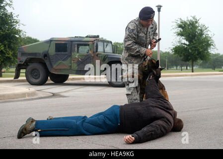 Le s.. Michael Sengphradeth, forces de sécurité 902nd Squadron, dresseur de chiens de travail militaire effectue une démonstration MWD lors d'une cérémonie en reconnaissance de la Semaine nationale de la Police à Joint Base San Antonio-Randolph's Heritage Park le 17 mai 2016. La Semaine nationale de la police a commencé le 17 mai et est maintenu en mémoire des membres des forces de sécurité et des forces de l'ordre tués dans l'exercice de leurs fonctions. Banque D'Images