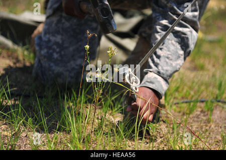 L'Armée américaine de bois durs Alfred SFC un pieu dans le sol pour fixer une antenne d'un point de communication tactiques sur Normandie drop zone lors d'opérations conjointes de l'exercice de l'accès à Fort Bragg, N.C., 08 juin 2012. Un exercice d'opérations conjointes est un exercice de deux semaines pour préparer la Force aérienne et l'Armée de membres de service pour répondre aux crises dans le monde entier et les imprévus. (U.S. Le sergent-major de la force aérienne. Austin Pritchard Banque D'Images