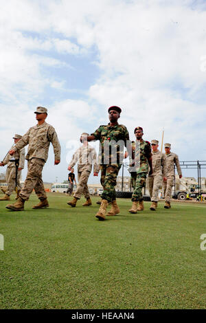 Le caporal Aboubaker Moussa, avant, et le Sgt. Omar dit, les soldats des Forces armées djiboutiennes, d'apprendre et de forage manuel épée pendant l'Non-Cc mixte4, le 8 février 2014. Le cours était composé de 36 marines, trois soldats, deux marins, un aviateur et deux soldats de manie. Bien que le programme de l'cours conjoint satisfait à toutes les exigences pour le Corps des marines traditionnelles bien sûr, les Caporaux il comprenait également des leçons sur la façon dont chaque service contribue à l'équipe conjointe. Il est conçu pour améliorer le leadership, le mentorat et la confiance dans les sous-officiers. Banque D'Images