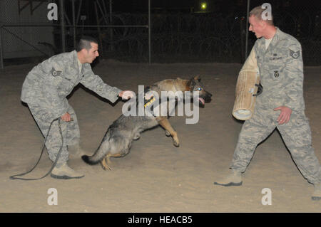 Les Sgt major. Aaron Balsamo et Steven Owen, les deux forces de sécurité 332e Escadron expéditionnaire de chiens de travail militaire, train avec chien de travail militaire Errol dans un endroit inconnu en Asie du Sud-Ouest, 13 octobre 2011. Balsamo et Owen sont déployés à partir de Offutt Air Force Base, Neb., et sont originaires de Pittsburgh, Pa., et Kansas City, au Kansas, respectivement. Banque D'Images