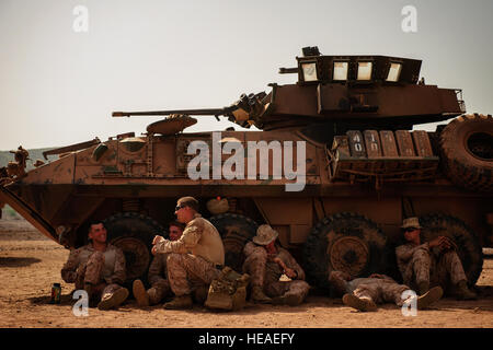 Les membres du 26e Marine Expeditionary Unit reste entre les interactions des membres du personnel de chargement, des véhicules blindés, et des Humvees sur la terre ferme de plaisance, bateaux à coussins d'air (LCAC), Arta Plage, Djibouti, le 30 mai 2013. Le mouvement de l'actif fait partie de l'USS Kearsarge LHD (3) affectés à la 5e Flotte de la Marine américaine, pour une rotation régulière des forces pour appuyer les opérations de sécurité maritime, fournir la capacité d'intervention de crise, et d'accroître la coopération en matière de sécurité dans le théâtre. Le s.. Julianne M. Showalter) Banque D'Images