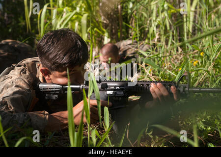 Un soldat de l'Armée américaine affecté à l'escadron Alpha Troop, 2e, 14e Régiment de cavalerie, 2nd Stryker Brigade Combat Team, 25e Division d'infanterie, réagit au contact de l'ennemi simulé lors de la 25e Division d'infanterie, de l'Académie de la foudre Jungle Operations Training Centre (JOTC) Phase 1, 12-journée de formation le 23 octobre 2014, à l'Est Centre de Formation Gamme, New York. Le JOTC entraîne des soldats sur la façon de mener des opérations dans un environnement de jungle de manière optimal. Environ 100 soldats ont participé à cette formation. Le s.. Christopher Hubenthal) Banque D'Images