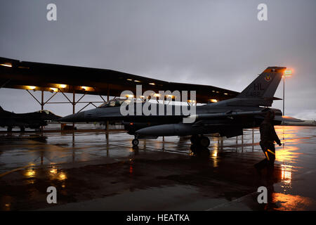 Un U.S. Air Force F-16 Fighting Falcon, 4e Escadron de chasse commence, c'est circuler sur une piste à Hill Air Force Base, en Utah, le 27 mars 2014. En collaboration avec l'entretien normal et les aviateurs, affecté à la 388e Escadre de chasse, participer à l'opération Noble Eagle (ONE). L'une a été lancée après les attaques terroristes du 11 septembre 2001, et il a fourni des avions de chasse rapide prêt à répondre à d'éventuelles menaces. Exercices d'application des tactiques similaires sont menées pour garantir l'état de préparation et la protection de l'espace. Un membre de la 1re classe Scott Jackson Banque D'Images