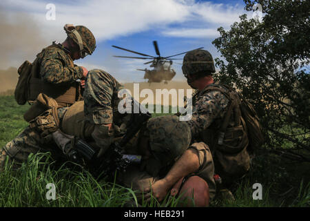 Marines protéger une victime simulée de le souffle du rotor d'un hélicoptère CH-53E Super Stallion hélicoptère de transport tactique lors d'une récupération d'aéronefs et de personnel, ou la trappe, scénario de formation de Camp Pendleton, le 10 février 2016. Piège est utilisé pour récupérer le plan tactique du personnel, du matériel ou d'aéronefs par l'insertion de la force de récupération à l'objectif. Les marines sont à l'entreprise d'Armes, 2e Bataillon, 4e Régiment de Marines, 1 Division de marines. Lance le Cpl. Devan K. Gowans Banque D'Images