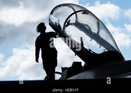 L'aviateur de la Marine américaine Casey Roberts, Electronic Attack Squadron 135, Naval Air Station Whidbey Island, Washington, inspecte un EA-18G Growler aéronefs pendant le drapeau rouge-Alaska 14-3 Le 15 août 2014, Eielson Air Force Base, en Alaska. La EA-18G Growler effectue un blocage d'escorte ainsi que des missions de brouillage Standoff. Tech. Le Sgt. Joseph Swafford Jr. Banque D'Images