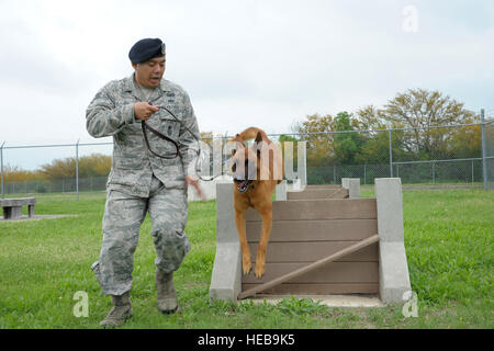 Le s.. Michael Sengphradeth, 902nd Squadron Forces de sécurité conducteur de chien de travail militaire, conduit son chien sur un obstacle, 8 avril 2015, à Joint Base San Antonio-Randolph, Texas. Le 902nd SFS-chiens de travail militaire guider leurs chiens à travers un parcours chaque jour pour assurer leur chien est prêt à sauter par-dessus des objets tels qu'un mur, véhicule ou d'une fenêtre et d'obéir à leurs commandes de l'entraîneur à le faire en cas d'urgence. Joel Martinez/ libéré) Banque D'Images