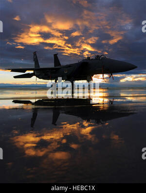 Un U.S. Air Force F-15E Strike Eagle aéronefs affectés à la 391e Escadron de chasse se situe sur la ligne de vol pendant le coucher du soleil à Mountain Home Air Force Base, Alabama, 6 décembre 2010. Avec un système de commande électronique du moteur numérique Strike Eagle, les pilotes peuvent s'accélérer du ralenti à l'alimentation en post-combustion maximale moins de quatre secondes. L'accélération du moteur plus rapide et plus précise des décollages plus rapide réponse pendant la manoeuvre. (U.S. Photo de l'Armée de l'air par la Haute Airman Debbie Lockhart) Banque D'Images