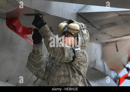 Le sergent d'armes Loader Sheila Velez-Avila installe un module de paille utilisée pour contrer les missiles guidés par radar. Les aviateurs de la 177e Escadre de chasse, New Jersey Air National Guard, l'objet d'une étude de Phase I, l'Inspection de l'état de préparation opérationnelle sur 16 et 17 avril 2011. L'aile a reçu une note excellente. (U.s. Air Force photo par le Sgt. Mark C. Olsen) Banque D'Images