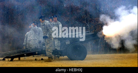 Colombie-britannique, L.C. (déc. 11, 2010) - Les soldats de la Compagnie Bravo, 4e Bataillon, 10e Régiment d'infanterie de Fort Jackson, L.C. (fire off un canon pour une salve de 21 coups au cours de la cérémonie à travers l'Amérique des couronnes à Fort Vérinsur National Cemetery, le 11 décembre. La cérémonie a eu lieu à se souvenir de nos anciens combattants qui ont passé, honorer ceux qui servent et ont servi et enseigner à nos enfants ce que c'est de servir notre pays. La cérémonie comprenait une présentation memorial, la Deuxième Guerre mondiale, gerbe, reconnaissance des prisonniers de guerre, des personnes toujours portées disparues dans l'action et de la marine marchande, une salve de 21 coups par une cann Banque D'Images