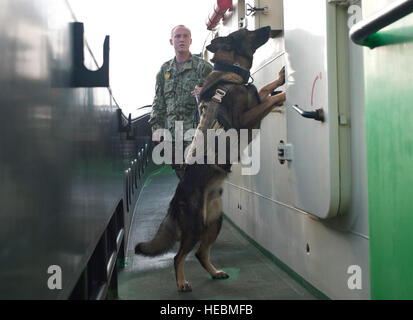 La Marine américaine Maître de 2e classe Michael Carter, un conducteur de chien de travail militaire affecté au Camp Lemonnier, et son K9 Ivo recherchez un remorqueur avant une mission dans le golfe de Tadjourah, à Djibouti, le 27 septembre 2013. Avant que les navires remorqueurs civils exploités aux États-Unis ou prendre contact avec les navires de la coalition dans le port, ils sont effacés et fouillé pour la contrebande et d'explosifs. (U.S. Photo de l'Armée de l'air par le sergent. Tchad Warren) Banque D'Images