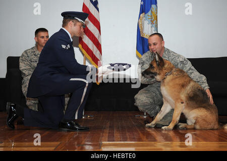 Un McConnell Air Force Base Garde d'honneur présente un drapeau au 22e Escadron des Forces de sécurité de chien de travail militaire Rakker lors d'une cérémonie de la retraite, le 13 mai 2015 à McConnell AFB. Rakker, ancien MWD de détection d'explosifs, a pris sa retraite après 49 années de service chien dont il a dirigé plus de 11 000 coups tout au long de sa carrière. (U.S. Air Force photo de Tara Navigant de première classe Fadenrecht) Banque D'Images