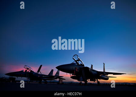 Deux F-15E Strike Eagles sont stationnés sur l'aire Feb.10, 2014, alors que le soleil se couche sur la base aérienne Nellis, Nevada Plus de 3 200 militaires et 125 avions de combat interarmées des forces américaines et alliées de partout dans le monde pour participer à l'exercice Red Flag 14-1, accueilli par le 414e Escadron d'entraînement au combat. L'objectif principal de l'exercice est d'accroître les capacités de se défendre contre les menaces futures.Les F-15E sont affectés à la 391e Escadron de chasse, Mountain Home AFB, Idaho. (U.S. Air Force photo/Lorenz Crespo) Banque D'Images