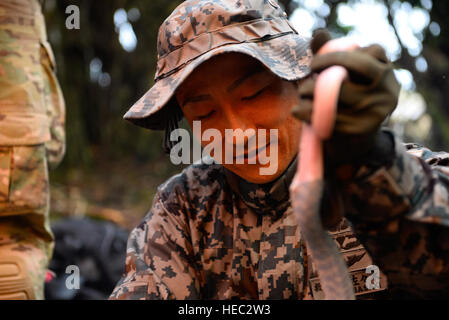 Japan Air Self-Defense Force Pararescueman Tech. Le Sgt. Shinchiro Sasaki, droite, skins un serpent brun arboricole au cours d'un atelier de survie dans la jungle le 16 février 2016, à la base aérienne d'Andersen, Guam. Faire face au Nord 16 exercice comprend 22 unités de vol total et près de 3 000 membres de six pays et poursuit la croissance de strong, interopérables et bénéfique des relations au sein de l'Indo-Asia-région du Pacifique par l'intégration de l'aéroporté et des actifs de commandement et de contrôle. (U.S. Photo de l'Armée de l'air par le sergent. Alexander W. Riedel/libérés) Banque D'Images