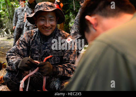 Japan Air Self-Defense Force Pararescueman Tech. Le Sgt. Shinchiro Sasaki, droite, observe un collègue pilote skins un serpent brun arboricole au cours d'un atelier de survie dans la jungle le 16 février 2016, à la base aérienne d'Andersen, Guam. Faire face au Nord 16 exercice comprend 22 unités de vol total et près de 3 000 membres de six pays et poursuit la croissance de strong, interopérables et bénéfique des relations au sein de l'Indo-Asia-région du Pacifique par l'intégration de l'aéroporté et des actifs de commandement et de contrôle. (U.S. Photo de l'Armée de l'air par le sergent. Alexander W. Riedel/libérés) Banque D'Images