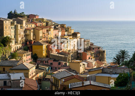 Les maisons colorées de Manarola ville sont entassés sur une colline sur le coût de la Mer Méditerranée Banque D'Images