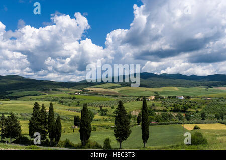 Paysage typique de Toscane vert avec des collines, des cyprès, des arbres et un ciel bleu et nuageux Banque D'Images