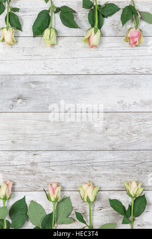 Saint Valentin fleurs roses sur fond de bois blanc vintage - carte. Banque D'Images