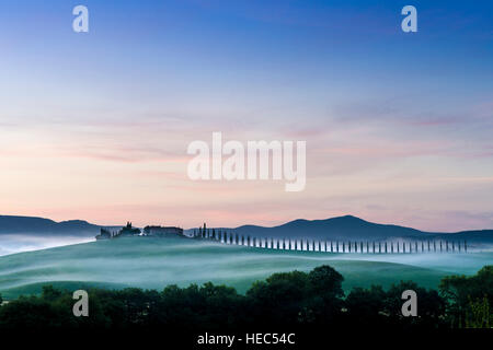 Vert typique toscane paysage en Bagno Vignoni, Val d'Orcia avec une ferme sur une colline, les champs, les cyprès, les arbres et le brouillard du matin avant le lever du soleil Banque D'Images