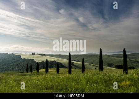 Vert paysage typique de la Toscane en Val d'Orcia avec une ferme et une petite chapelle sur une colline, les champs, les cyprès, les arbres et le brouillard du matin au lever du soleil Banque D'Images