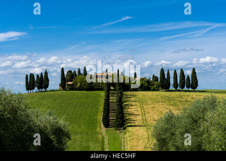 Vert paysage typique de la Toscane en Val d'Orcia avec une ferme sur une colline, champs, cyprès, oliviers et ciel bleu Banque D'Images