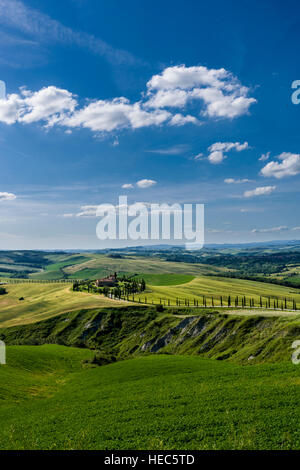 Vert paysage typique de la toscane en val d'orcia avec une ferme sur une colline, champs, cyprès et ciel bleu Banque D'Images