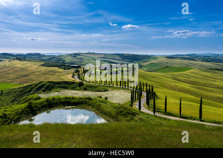 Vert paysage typique de la Toscane en Val d'Orcia avec une ferme sur une colline, une route sinueuse, un petit lac, de champs, de cyprès et de ciel bleu Banque D'Images