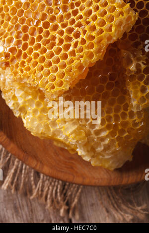 Dans le nid d'plaque de bois sur la table verticale Vue de dessus de la macro. Banque D'Images