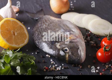 Poissons crus dorado avec des ingrédients sur une table horizontale de macro. Banque D'Images