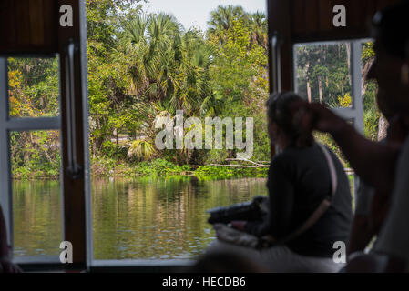 Silver Springs State Park est situé dans la région de Ocala, en Floride, et est l'une des plus grandes sources d'eau douce dans le monde. Banque D'Images