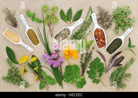 Fruits frais et secs et d'épices herb collection sur fond de papier de chanvre. Banque D'Images