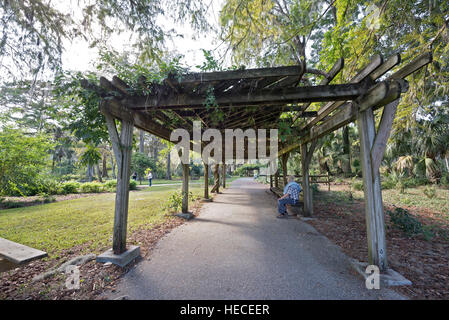 Silver Springs State Park est situé dans la région de Ocala, en Floride, et est l'une des plus grandes sources d'eau douce dans le monde. Banque D'Images