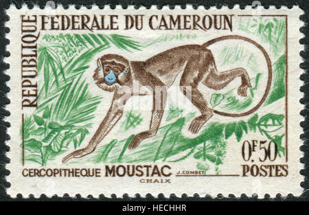 Un timbre imprimé au Cameroun, présente le motmot motmot guénon ou monkey (Cercopithecus cephus) Banque D'Images